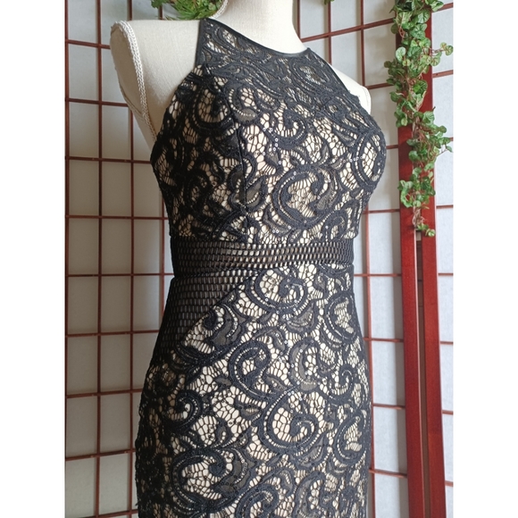 Dream ' Moon Halter Cutout Zip Back Lace Mini Dress - Picture 3 of 16